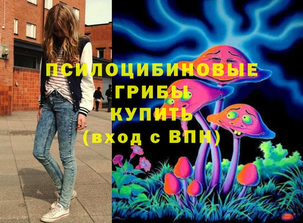 хмурый Балахна