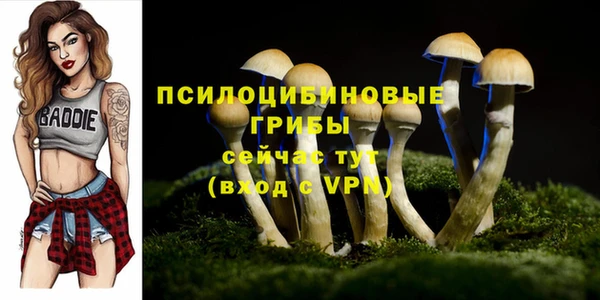 хмурый Балахна