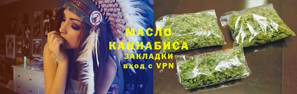 крисы Надым