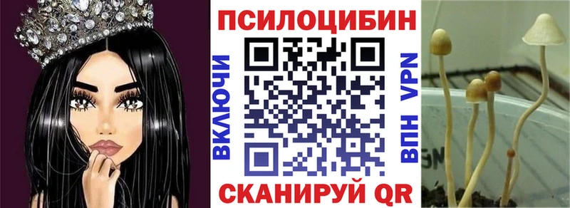 Галлюциногенные грибы GOLDEN TEACHER наркота mega зеркало Боготол